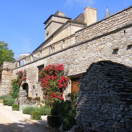 Chateau De Laumiere Promilhanes Eksteriør bilde