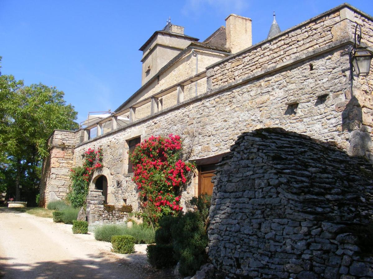 Chateau De Laumiere Promilhanes Eksteriør bilde